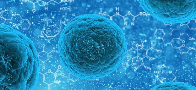 Potential
            Uses of Stem Cells