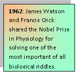 James Watson and Francis Crick nobel prize